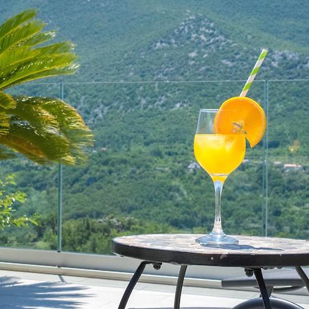 Villa Milena With Heated Pool And Jacuzzi Kostanje Extérieur photo